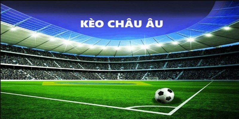 Cách xem tỷ lệ kèo Châu Âu chuẩn xác từ tay chơi lâu năm 