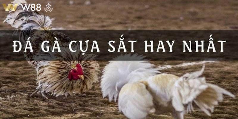 Đá Gà Cựa Sắt